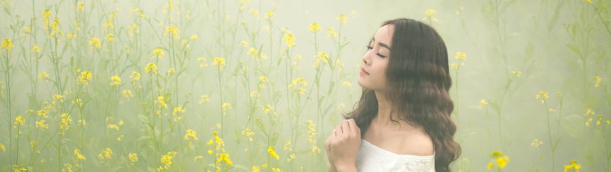 h2XCSEO惠州seo排名优化价格合理投资，提升网站流量h2