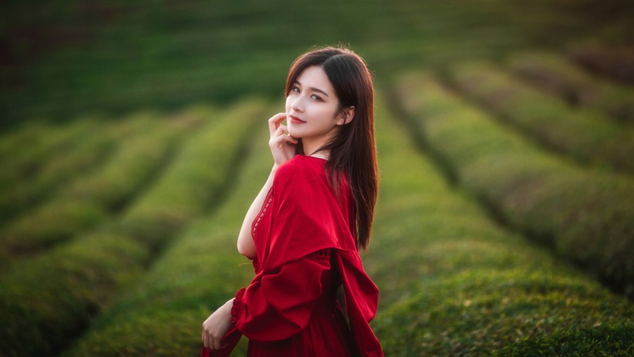 XCSEO优化快速排名技术提升网站搜索引擎排名的高效策略